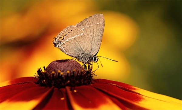 描写中秋节的好段75句