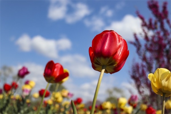 环境污染描写的好段98句