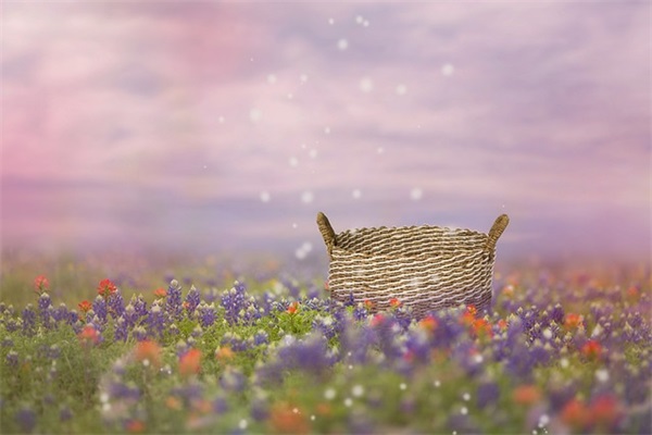 描写心情的好段93句