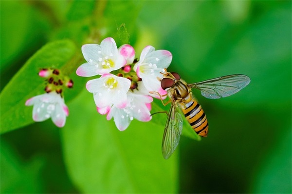 描写月亮的好段20069句