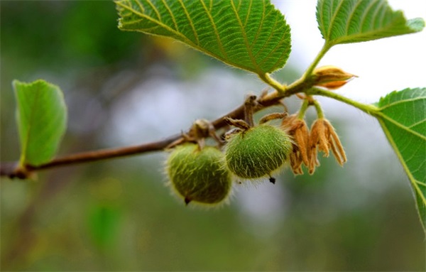 描写春天景物的好段80句