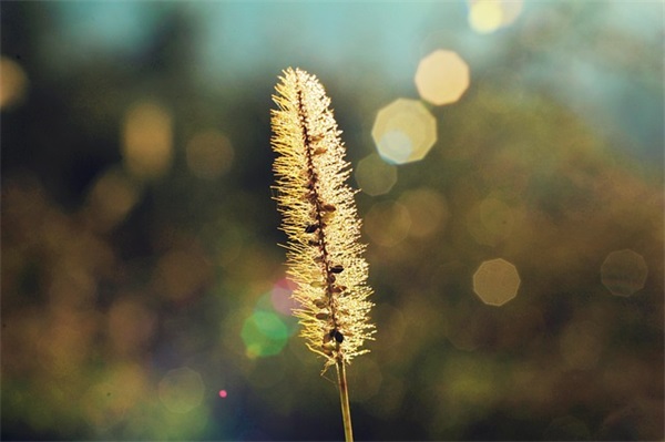 名著的好段111句