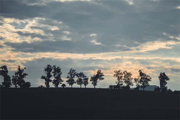 描写冬天的好句大全