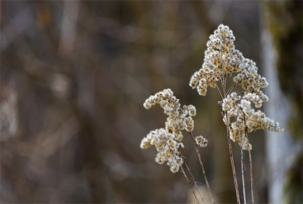 描写四季的好段10085句