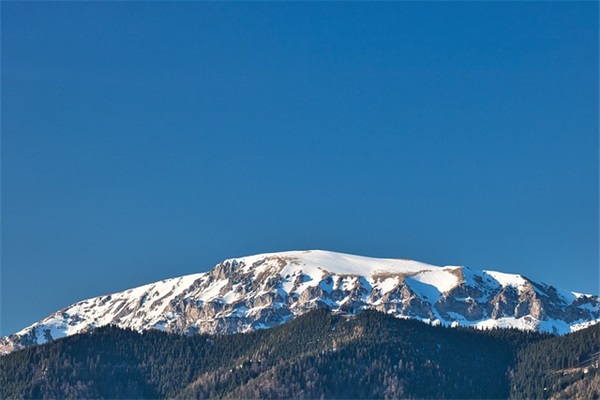 描写荷花荷叶的好段79句