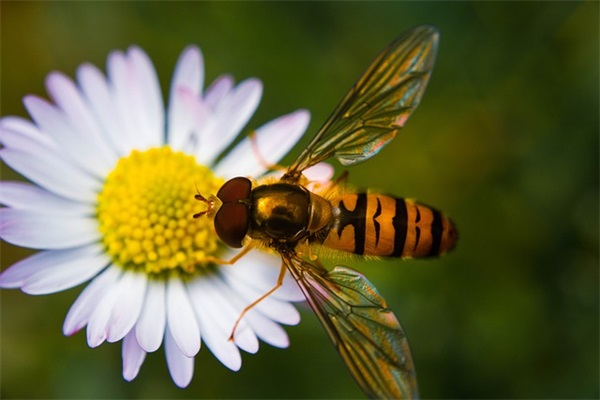 描写冬天景色的好段87句