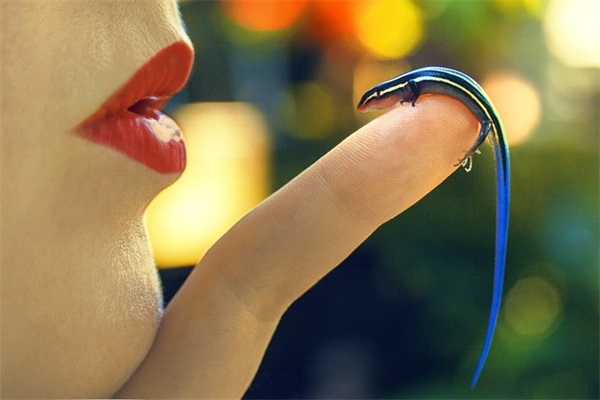 描写梅花的好句