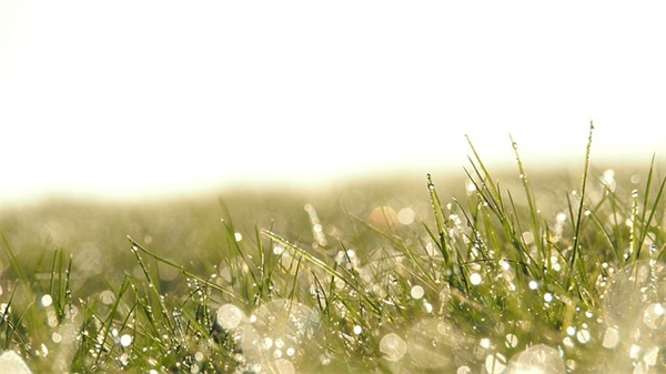 老师外貌描写的好段80句