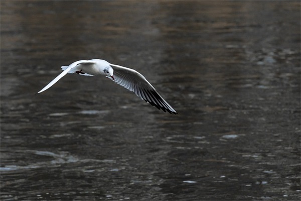 感觉生活好累的句子