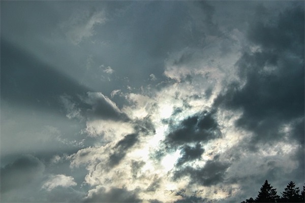 写自己心情的句子91句