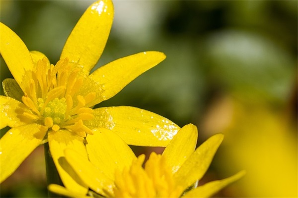 2025最美教师文案句子