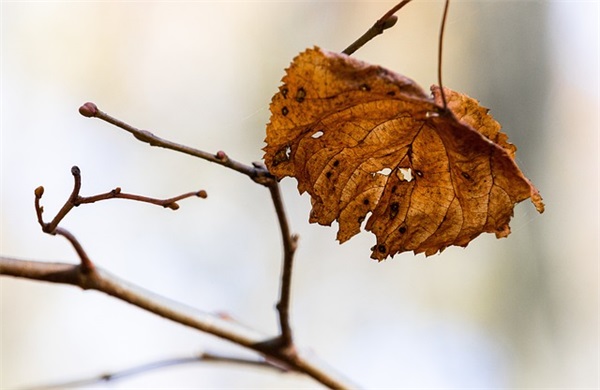 不想失去伤感的句子81句