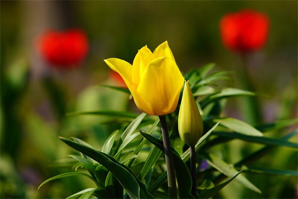 失望到心痛的句子 一点点失望的句子