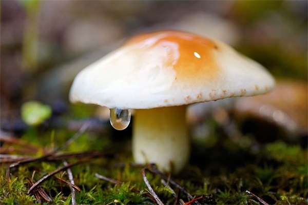 简短霸气的励志句子,正能量句子简短个性