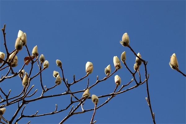 情话哄人睡觉的句子 哄人睡觉的小情话