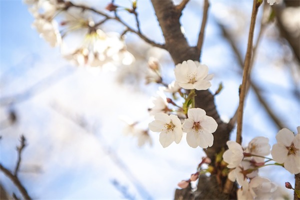形容人虚伪伪装的句子 形容男人虚伪的句子