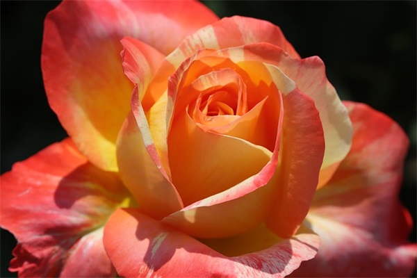 形容生活好累好压抑的句子