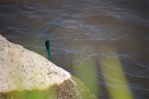 关于人生匆匆的句子