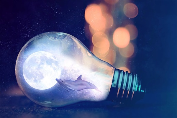 描写花落的凄美句子