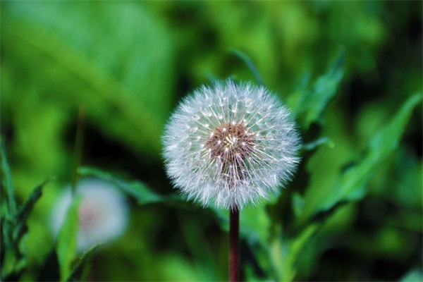 有关错过爱情的句子 有什么在爱情回头的句子
