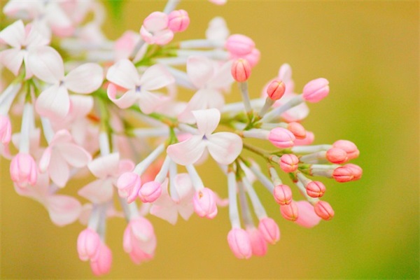 8字简短寄语-54句