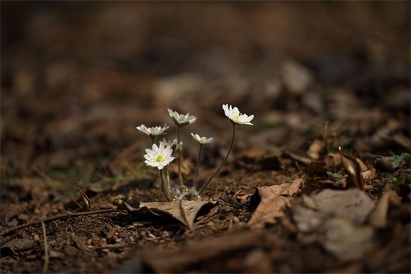 比较励志的寄语-30句