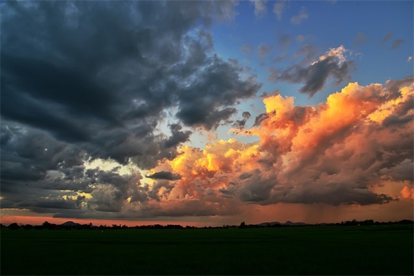简短励志小清新句子