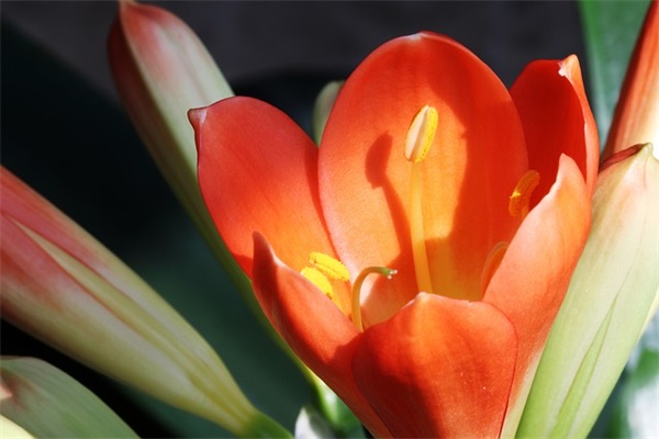 诸葛亮励志的句子