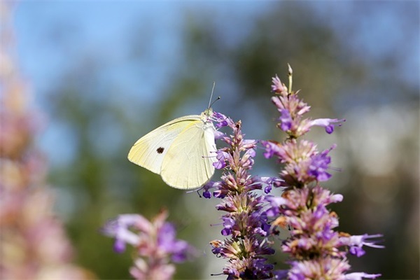 抗击疫情加油正能量暖心句子大全