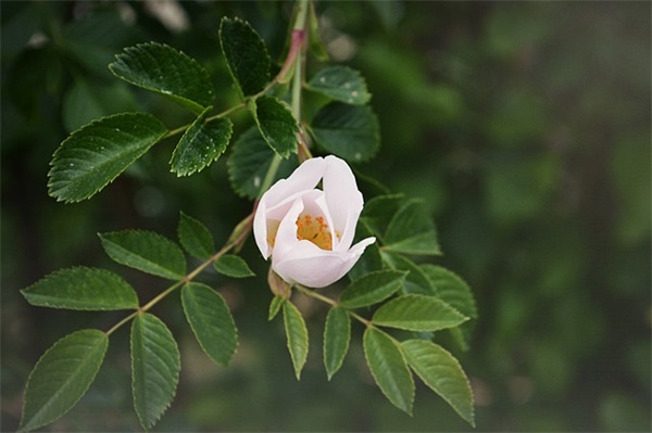 物理学科学论文