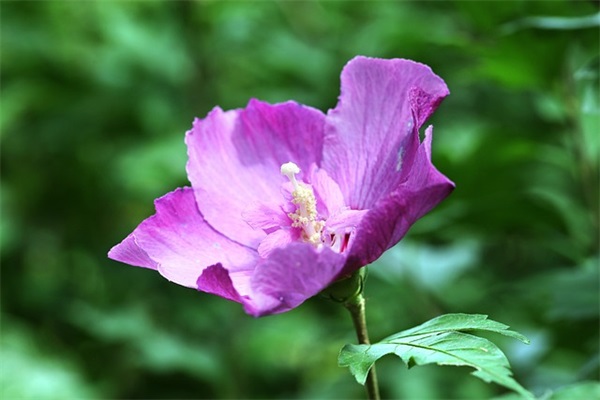 四方同心(打一字)