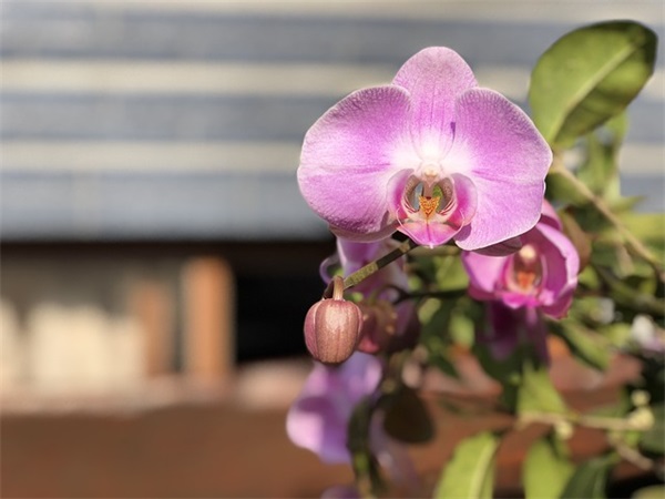 一口咬掉多半截 (猜一字)