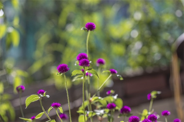 一年级新学期开学寄语简短 【一年级新学期开学寄语简短怎么写】
