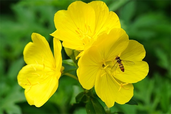 学期寄语爸爸妈妈对我说的话-78句