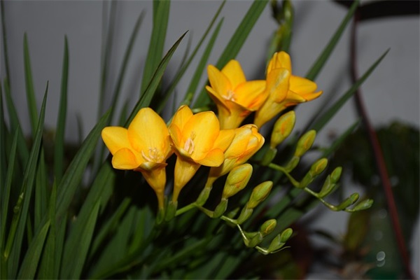 幼儿园中班孩子寄语 【幼儿园中班的寄语】