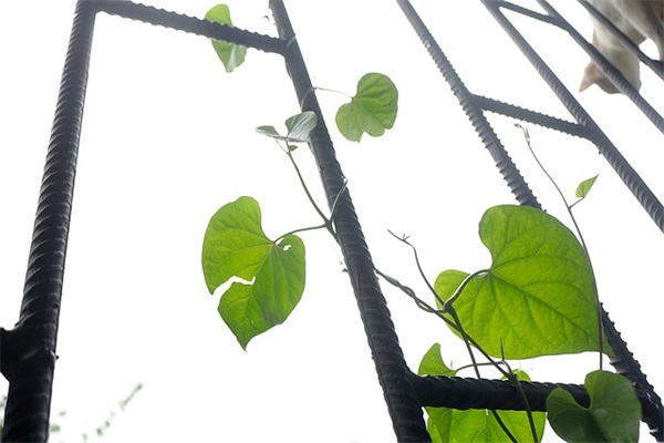 形容天使微笑的句子精选125句