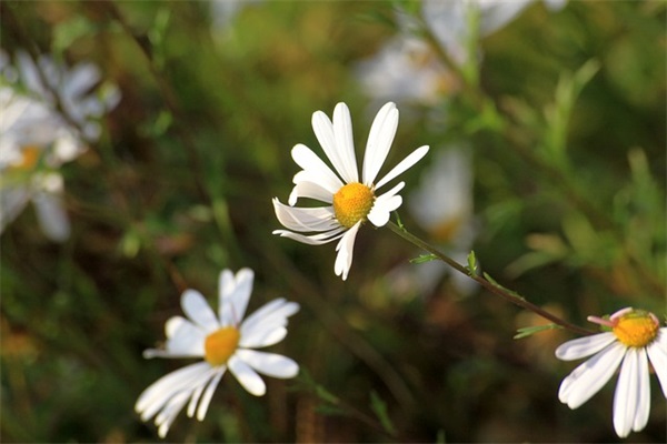 关于朋友的句子简短精选149句