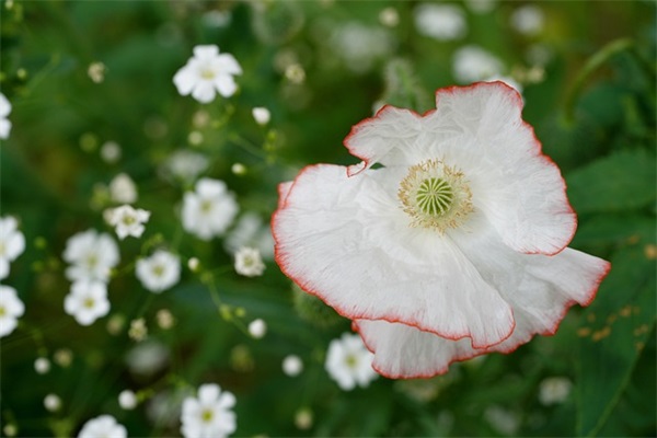 形容三十多岁的女人的句子精选16句