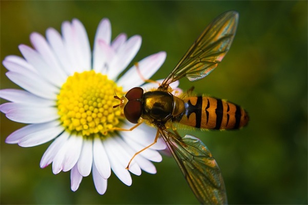 表示珍重的句子精选140句