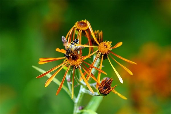 关于描写颜色的句子短句精选10句