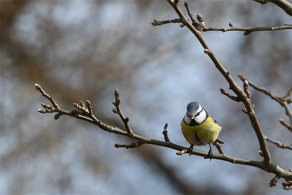 初二孩子寄语 【初二对孩子的寄语】