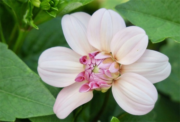 给学生中考寄语 【给学生中考寄语十字以内】