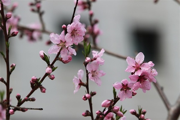 送给高三学生的寄语 【送给高三学生的寄语三十字】