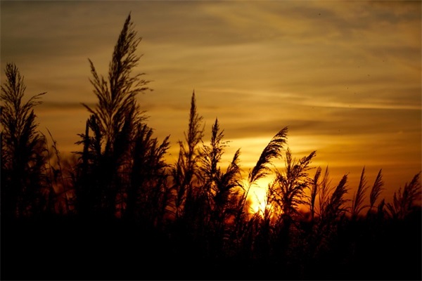 初中生家长寄语鼓励 【初三冲刺家长寄语鼓励】