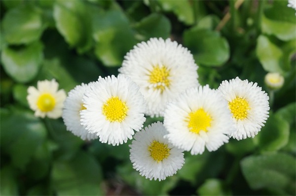 对大学生的寄语 【对大学生的寄语与期望简短】