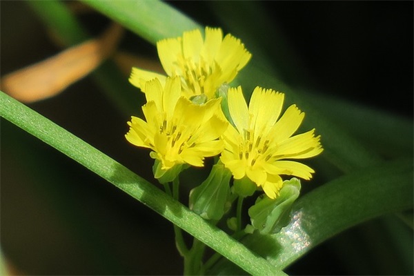 网名简短深意英文精选54个