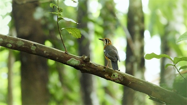 网名带符号的名字79个