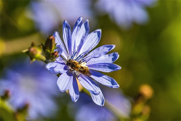 很文艺高雅的诗意微信网名(192个)