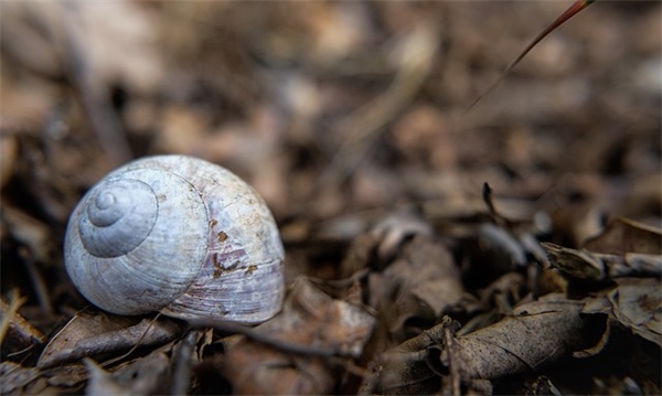 英文好听的微信名字(优选154个)