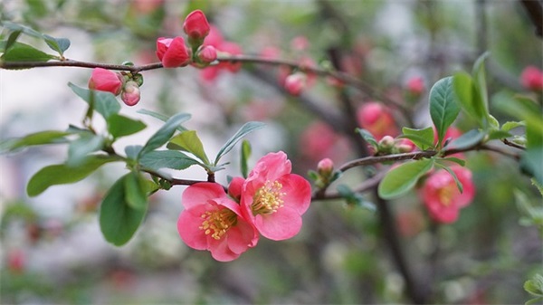 带符号的网名昵称女生精选101个